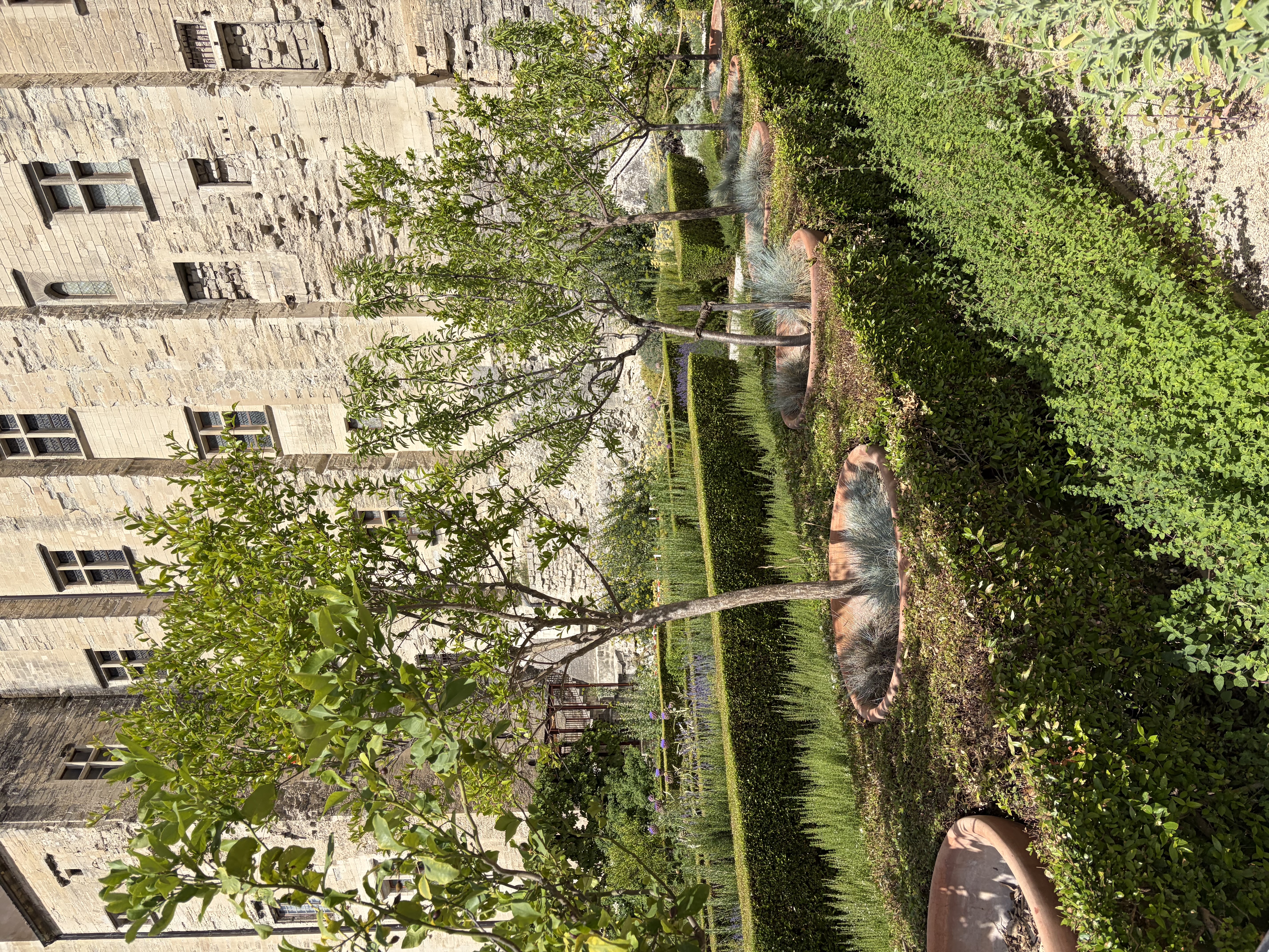Helles Steingebäude mit regelmäßigen Fensteröffnungen, überwachsen mit grünem Efeu, akkurat angelegter Garten mit strukturierten Hecken und einzelnen Blüten davor, lange Galerie mit Säulen und hohen Räumen, mediterrane Gartenarchitektur in Marseille