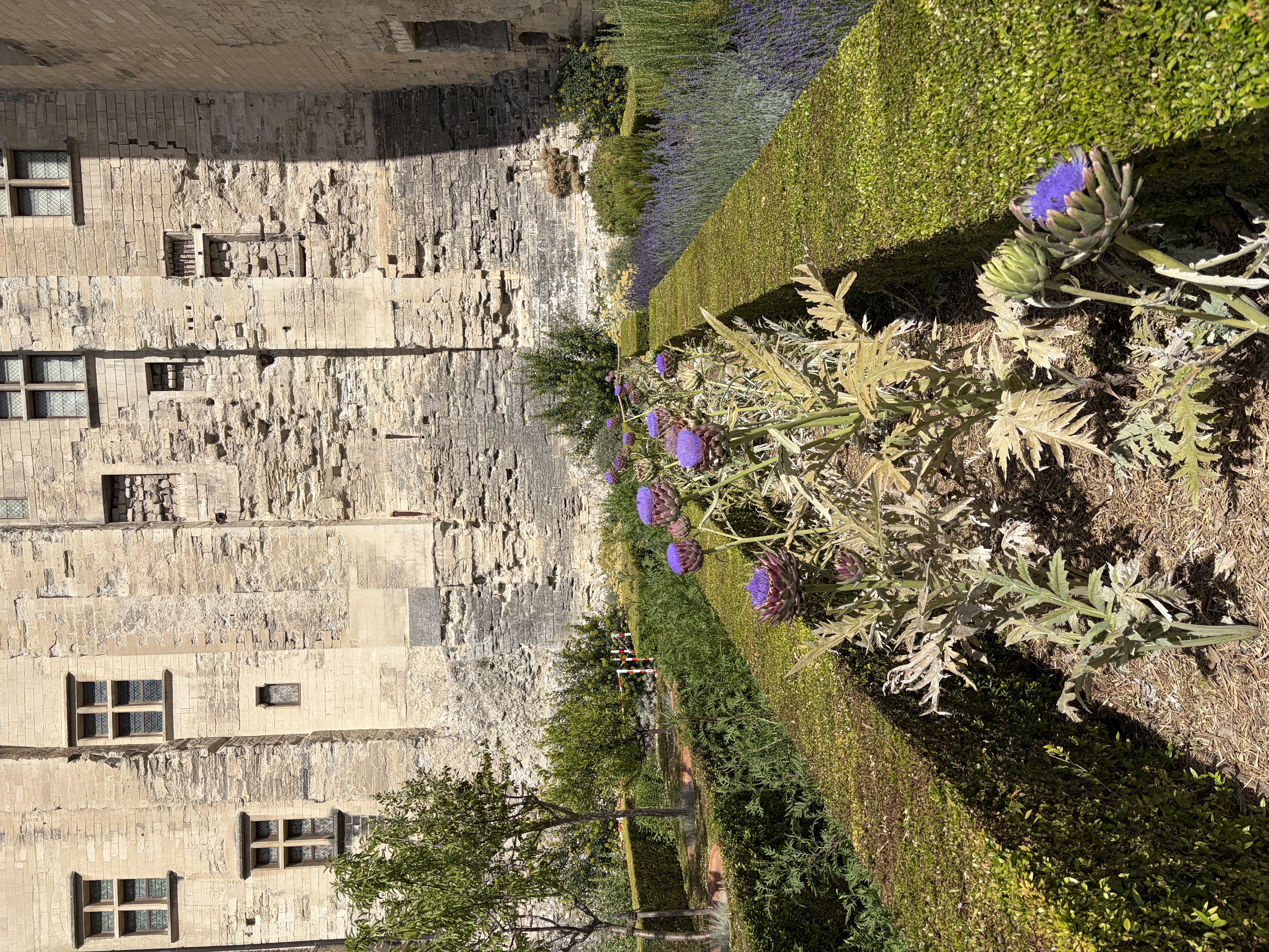Verwitterte hellgraue Steinmauer eines provenzalischen Gebäudes mit regelmäßig angeordneten Fenstern. Davor ein akkurat gepflegter Garten mit grünen Hecken, violetten Blüten und mediterranen Pflanzen. Eine Galerie verbindet Haus und Garten.