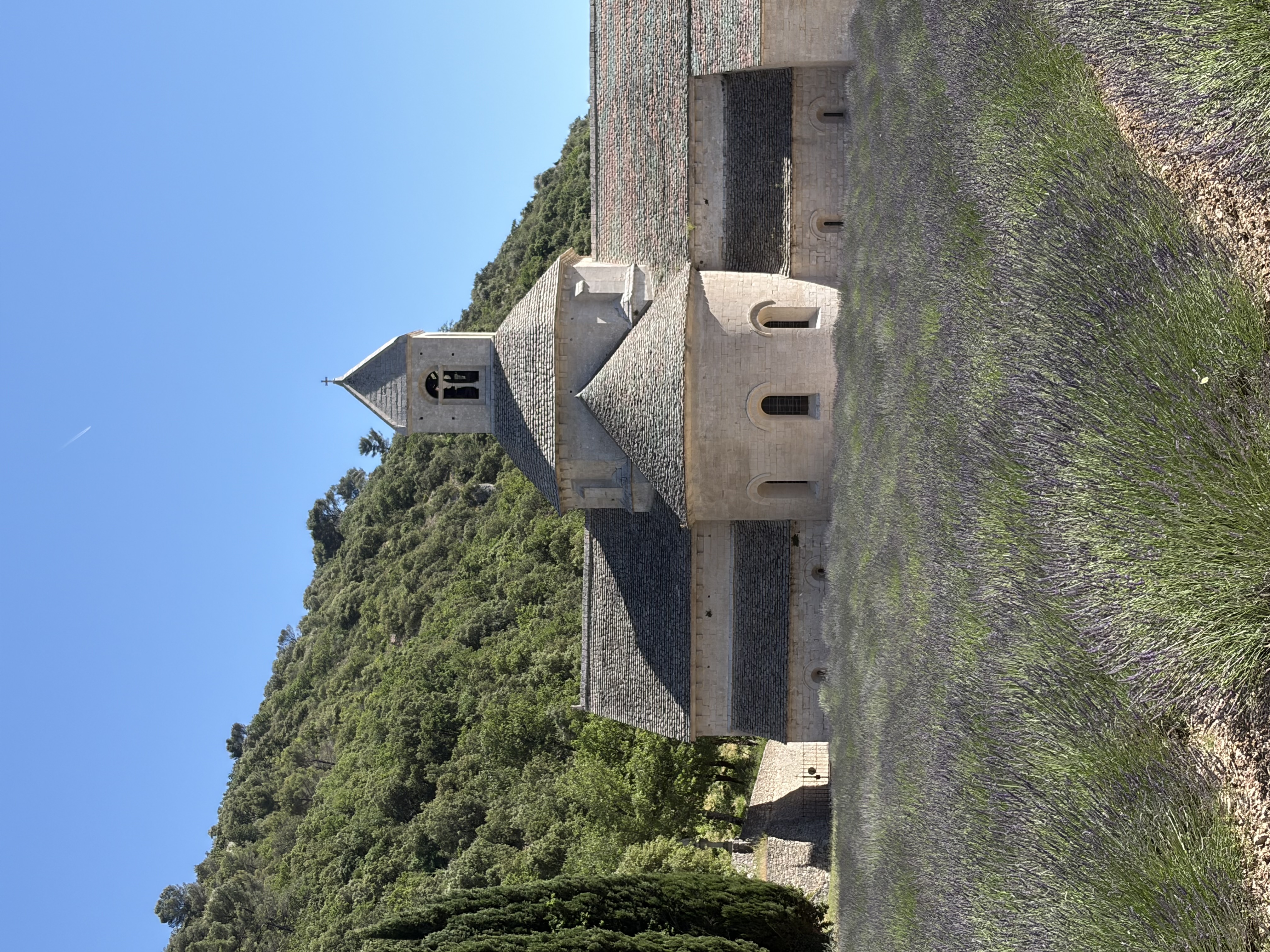 Ein Kind in dunklem T-Shirt steht zwischen hohen Lavendelreihen in der Provence, der Blick zu Boden gesenkt. Im Hintergrund das mittelalterliche Kloster Senanque aus hellem Stein, umgeben von grünen Hügeln.